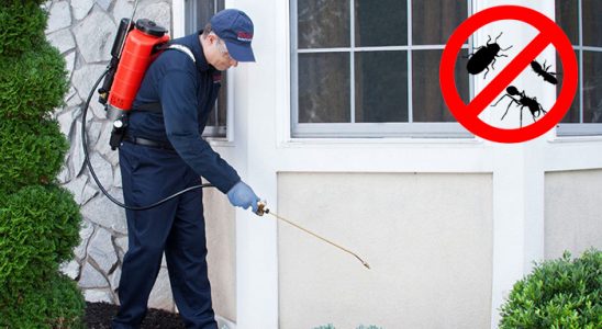 Balışeyh Hamam Böceği İlaçlama böcek ilaçlama ve haşere kontrolü — ilaclama-tr.com